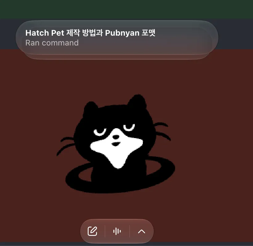 A digital chat bubble shows the text "Hatch Pet 제작 방법과 Pubnyan 포맷" and "Ran command" above a black and white cat icon on a dark background.