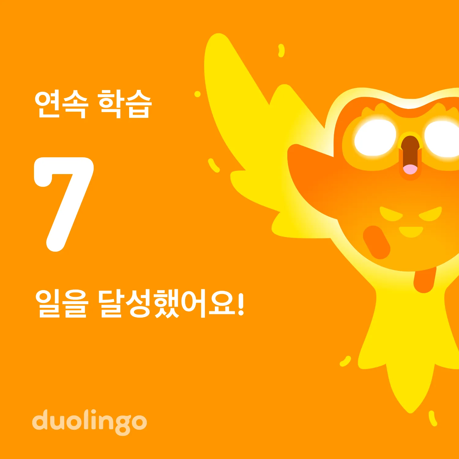 Duolingo 연속 학습 7일째