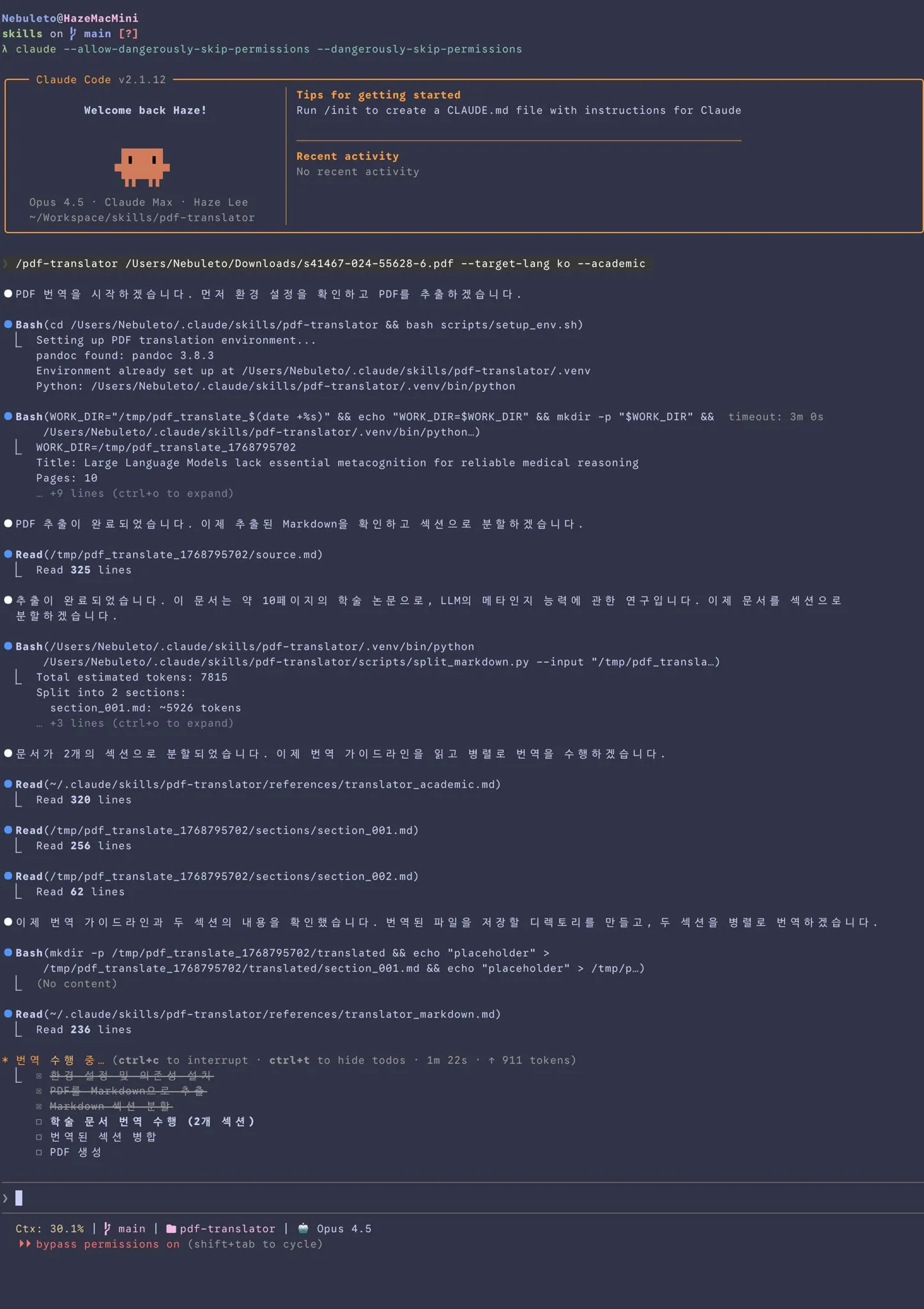 Claude Code에서 pdf translator 스킬을 사용한 화면