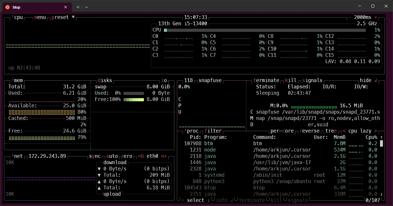 btop screenshot